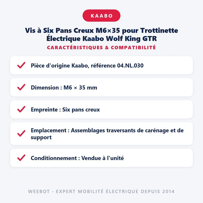 Vis à Six Pans Creux M6×35 pour Trottinette Électrique Kaabo Wolf King GTR