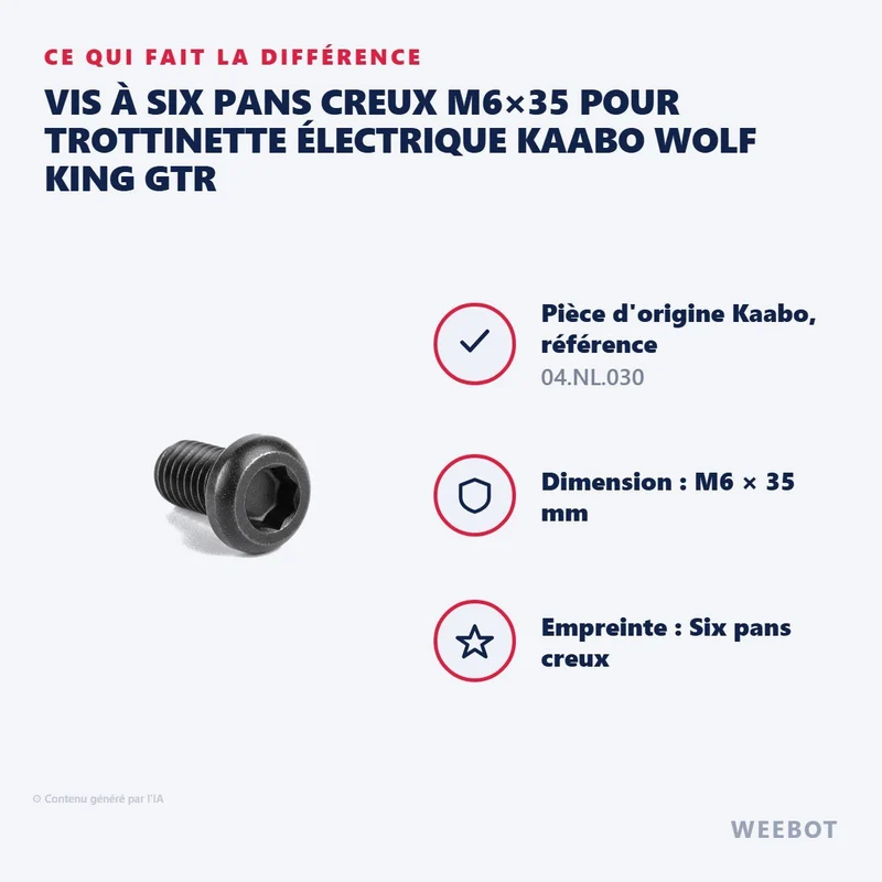 Vis à Six Pans Creux M6×35 pour Trottinette Électrique Kaabo Wolf King GTR
