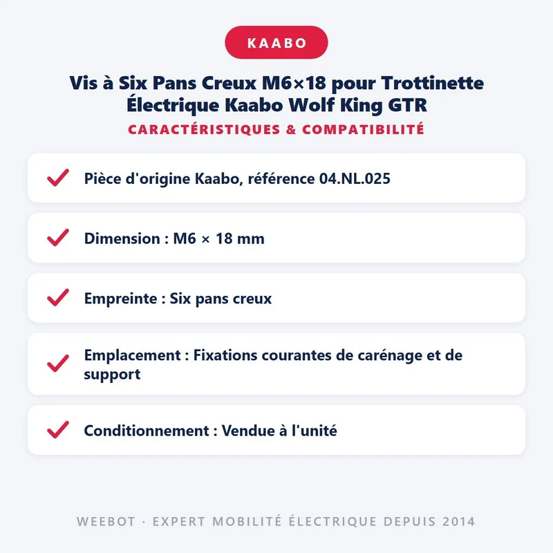 Vis à Six Pans Creux M6×18 pour Trottinette Électrique Kaabo Wolf King GTR