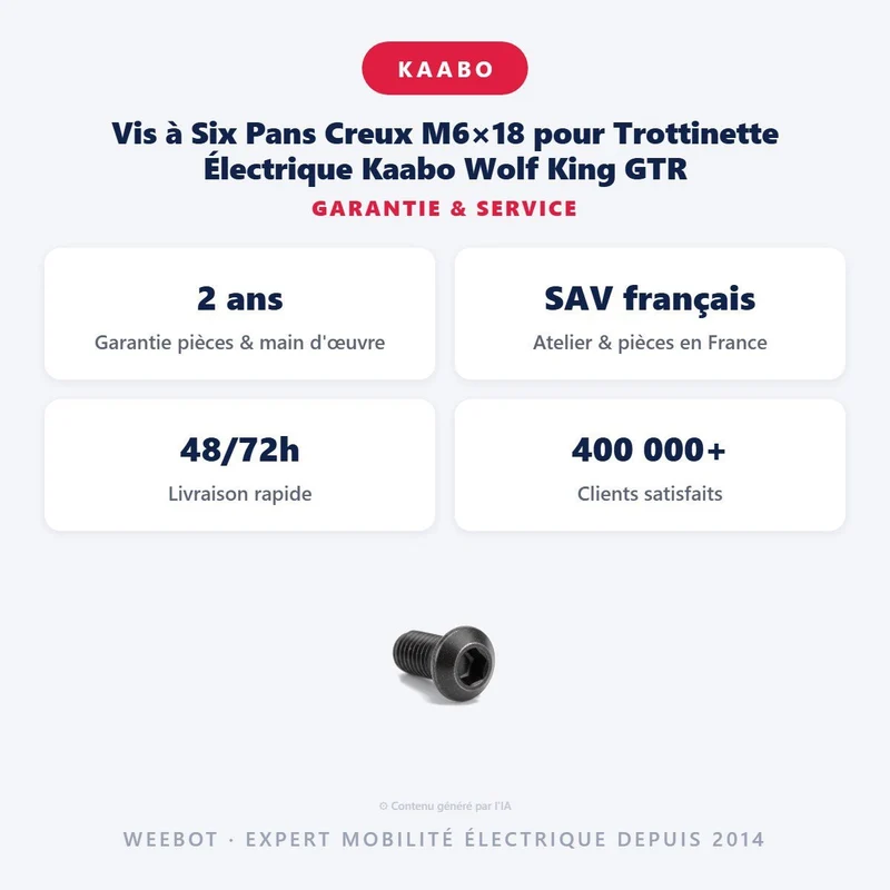 Vis à Six Pans Creux M6×18 pour Trottinette Électrique Kaabo Wolf King GTR