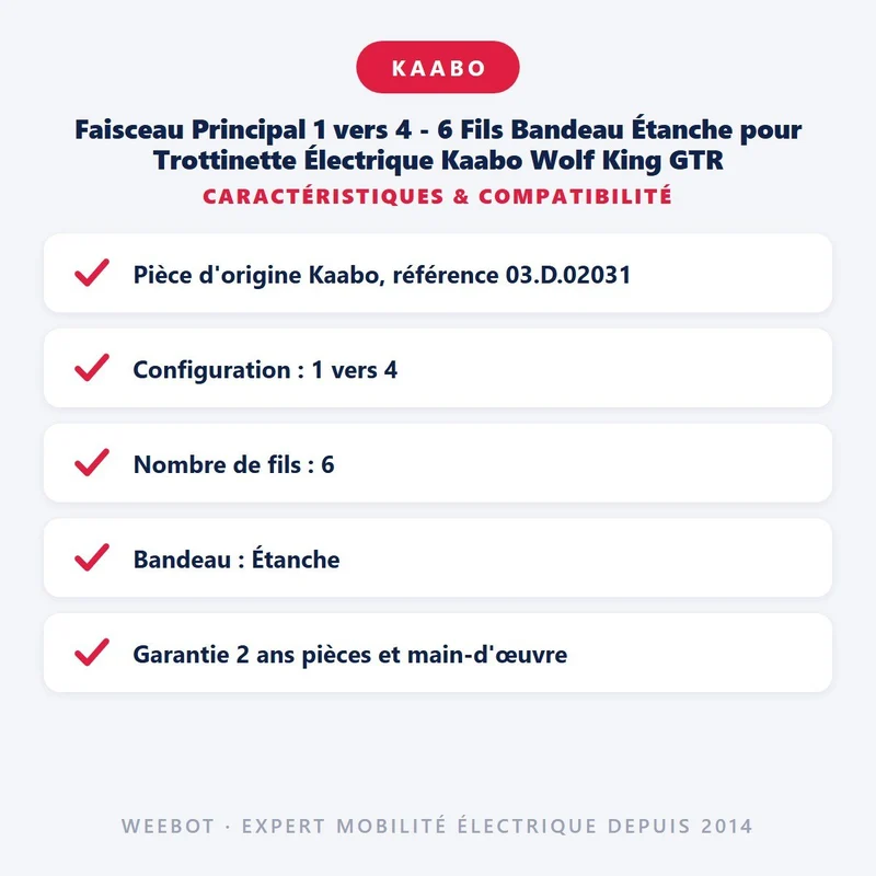 Faisceau Principal 1 vers 4 - 6 Fils Bandeau Étanche pour Trottinette Électrique Kaabo Wolf King GTR