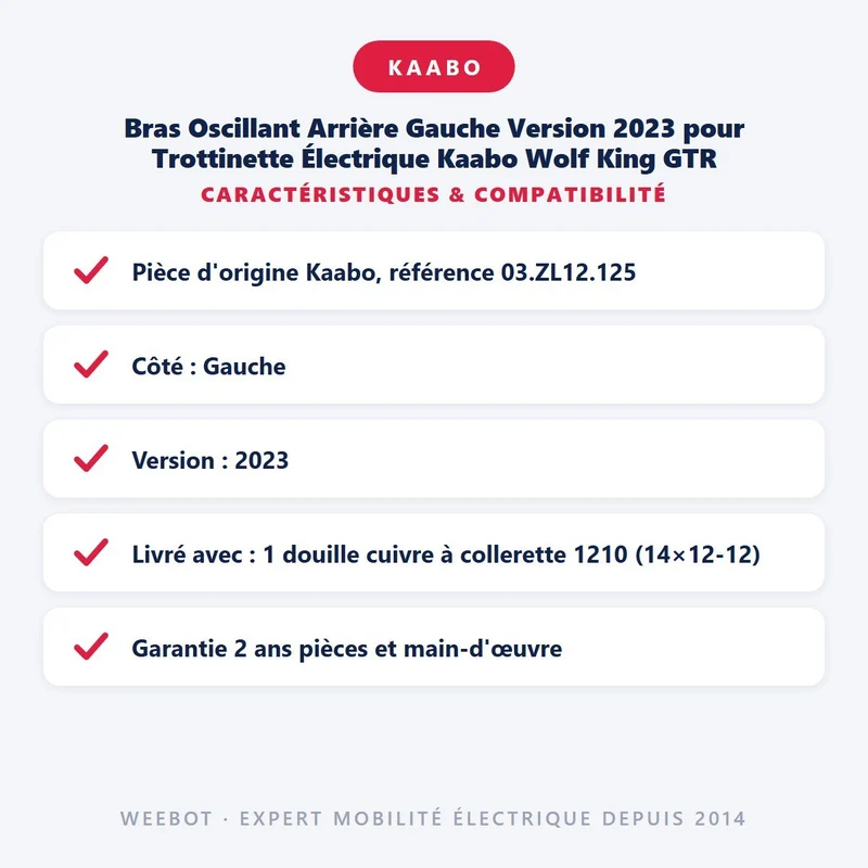 Bras Oscillant Arrière Gauche Version 2023 pour Trottinette Électrique Kaabo Wolf King GTR