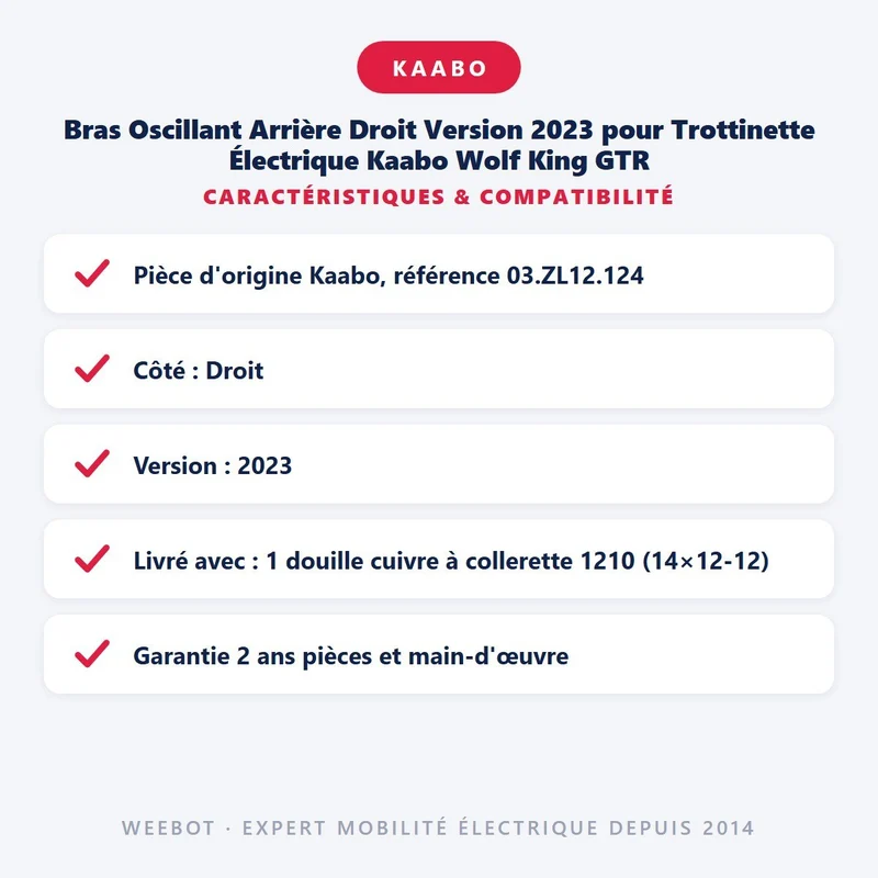 Bras Oscillant Arrière Droit Version 2023 pour Trottinette Électrique Kaabo Wolf King GTR