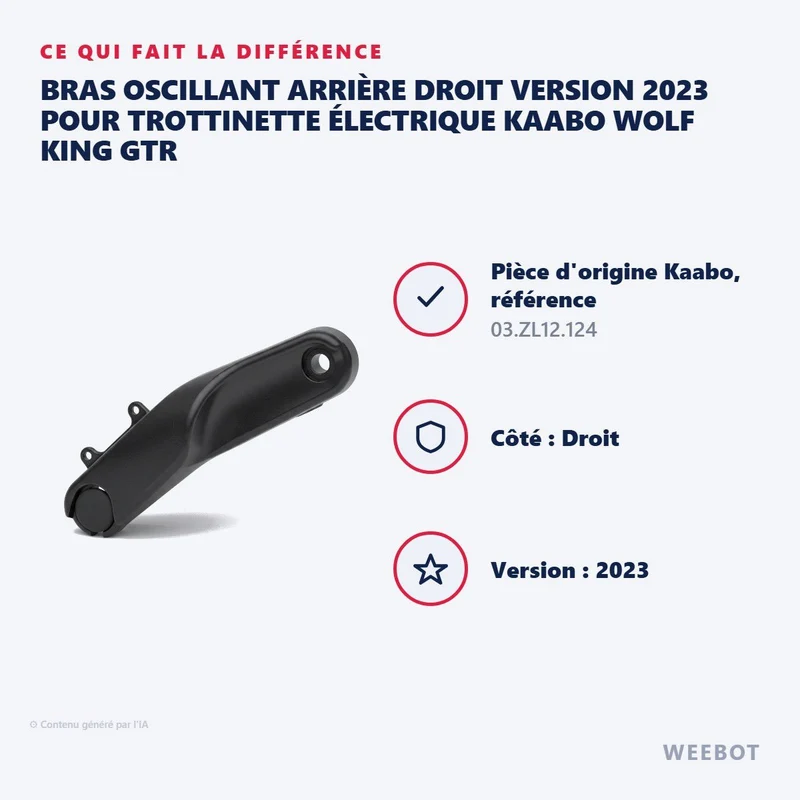 Bras Oscillant Arrière Droit Version 2023 pour Trottinette Électrique Kaabo Wolf King GTR