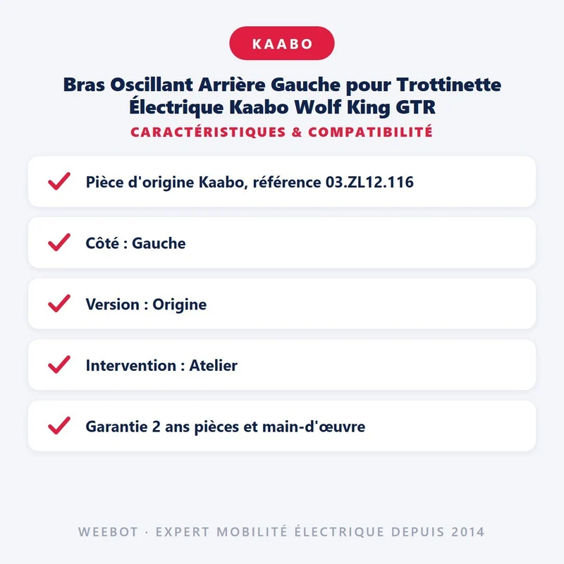 Bras Oscillant Arrière Gauche pour Trottinette Électrique Kaabo Wolf King GTR