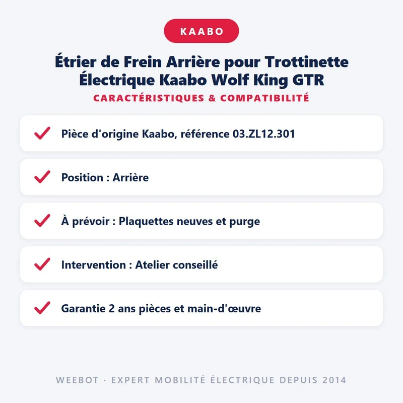 Étrier de Frein Arrière pour Trottinette Électrique Kaabo Wolf King GTR