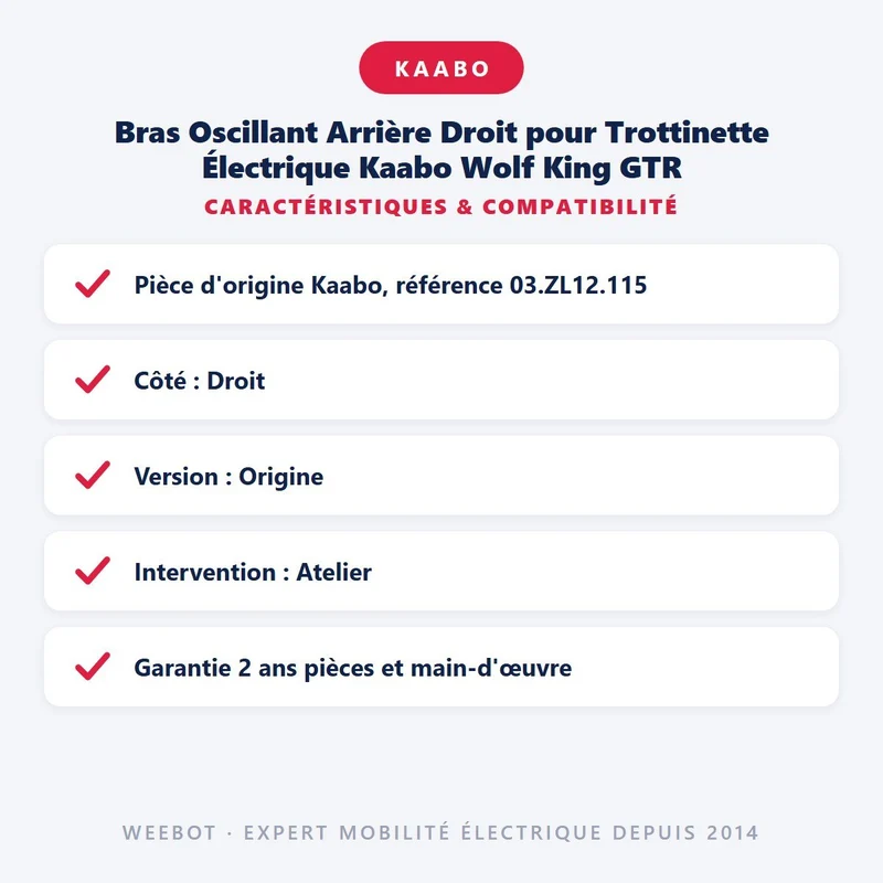 Bras Oscillant Arrière Droit pour Trottinette Électrique Kaabo Wolf King GTR
