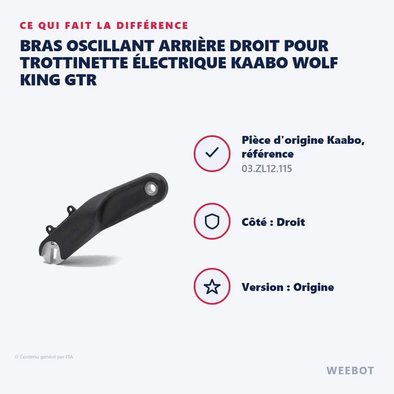 Bras Oscillant Arrière Droit pour Trottinette Électrique Kaabo Wolf King GTR