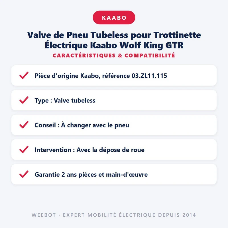 Valve de Pneu Tubeless pour Trottinette Électrique Kaabo Wolf King GTR