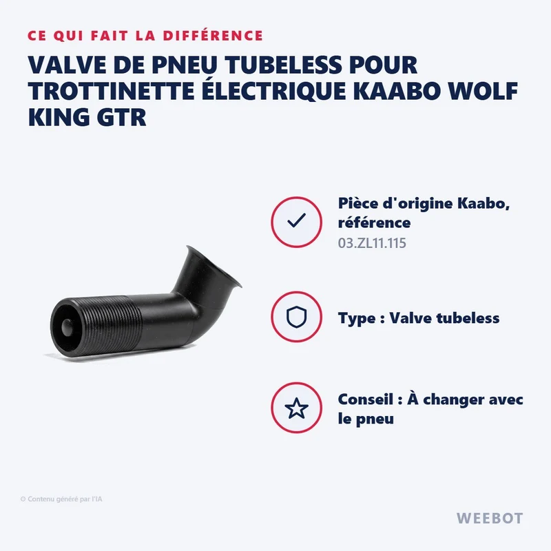 Valve de Pneu Tubeless pour Trottinette Électrique Kaabo Wolf King GTR