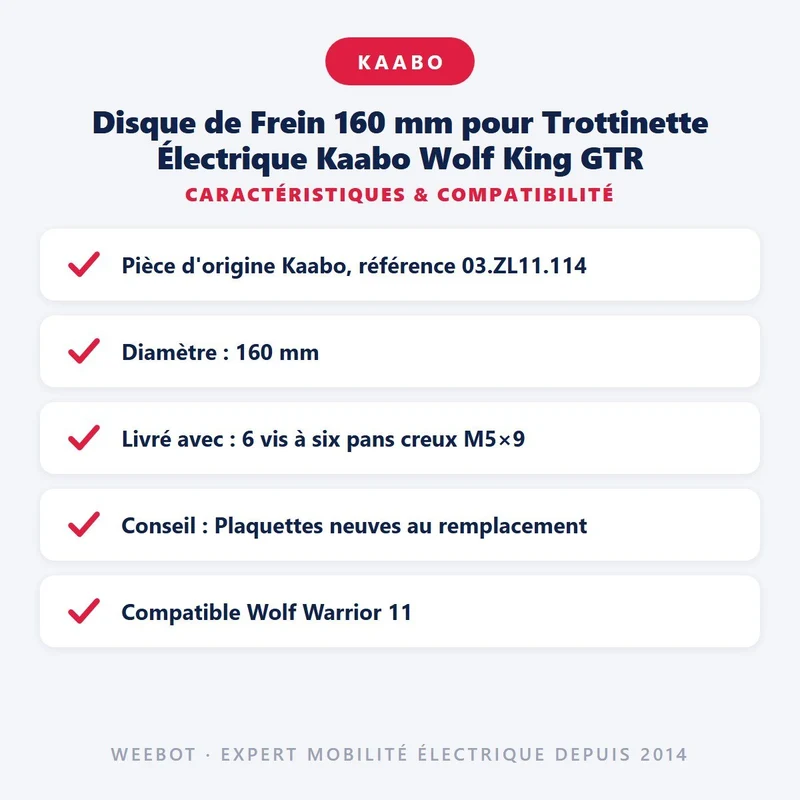 Disque de Frein 160 mm pour Trottinette Électrique Kaabo Wolf King GTR