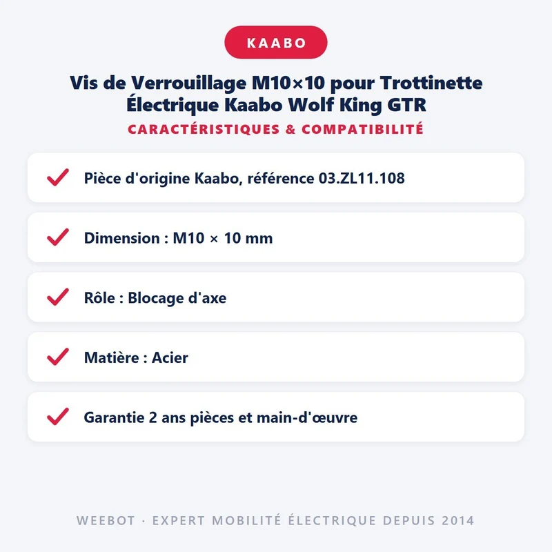 Vis de Verrouillage M10×10 pour Trottinette Électrique Kaabo Wolf King GTR