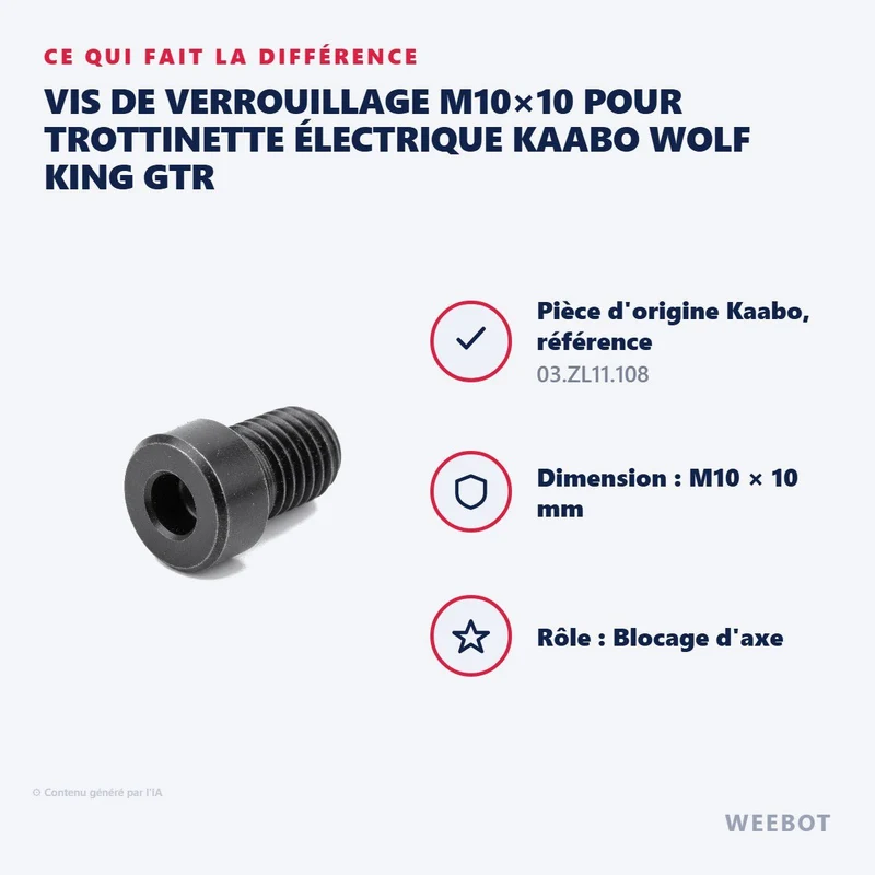 Vis de Verrouillage M10×10 pour Trottinette Électrique Kaabo Wolf King GTR