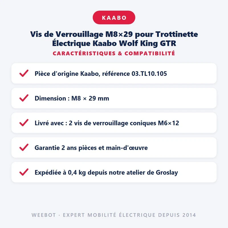 Vis de Verrouillage M8×29 pour Trottinette Électrique Kaabo Wolf King GTR