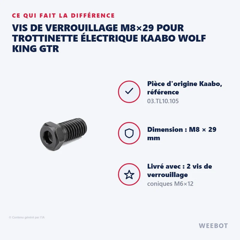 Vis de Verrouillage M8×29 pour Trottinette Électrique Kaabo Wolf King GTR