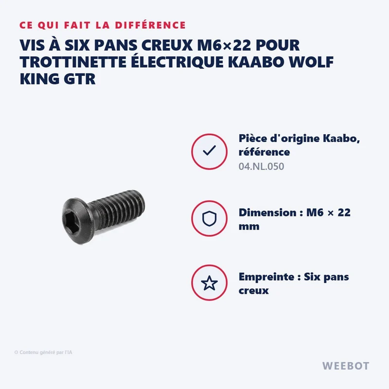 Vis à Six Pans Creux M6×22 pour Trottinette Électrique Kaabo Wolf King GTR