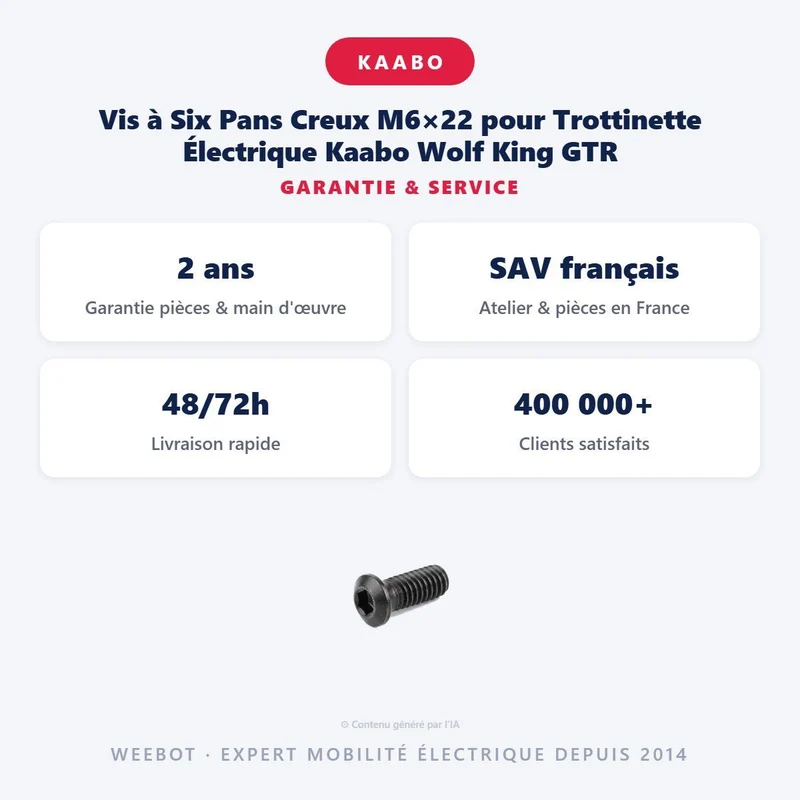 Vis à Six Pans Creux M6×22 pour Trottinette Électrique Kaabo Wolf King GTR