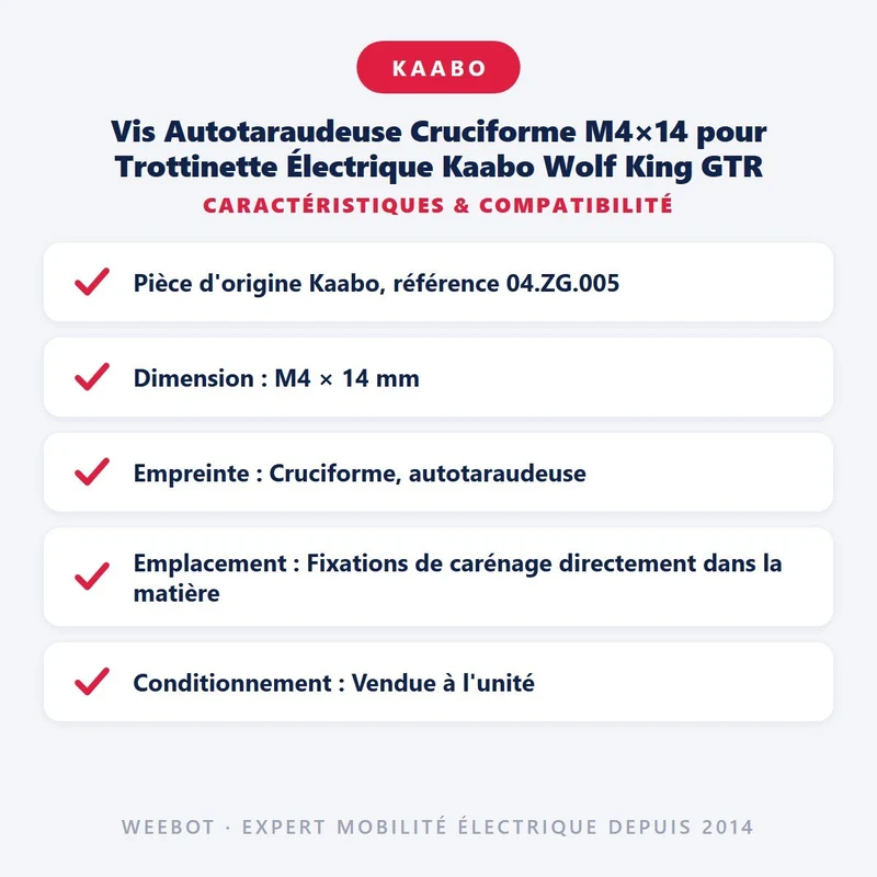 Vis Autotaraudeuse Cruciforme M4×14 pour Trottinette Électrique Kaabo Wolf King GTR