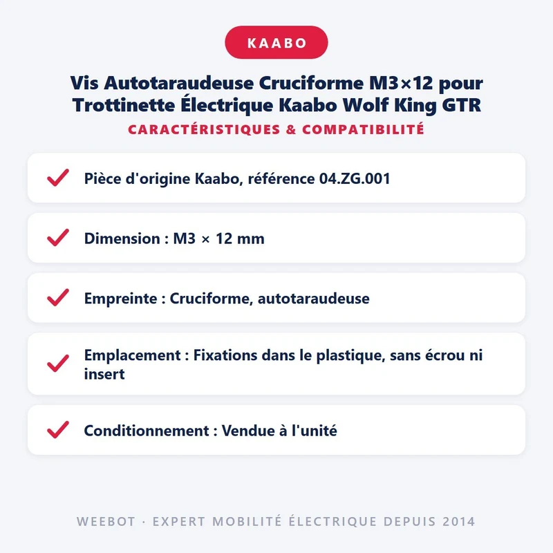 Vis Autotaraudeuse Cruciforme M3×12 pour Trottinette Électrique Kaabo Wolf King GTR