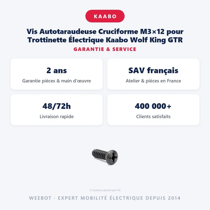 Vis Autotaraudeuse Cruciforme M3×12 pour Trottinette Électrique Kaabo Wolf King GTR