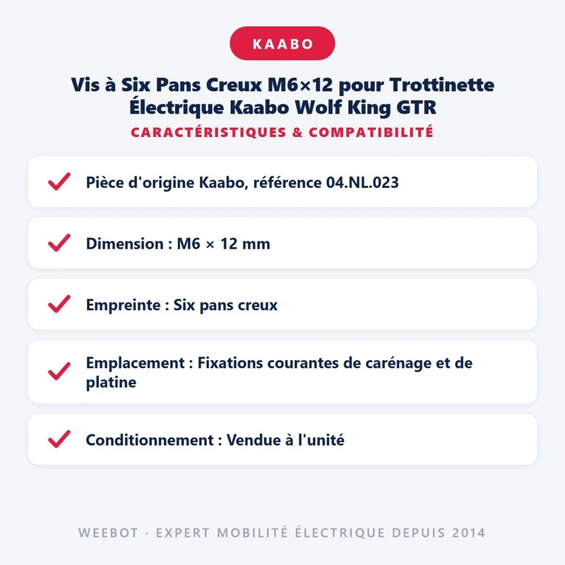 Vis à Six Pans Creux M6×12 pour Trottinette Électrique Kaabo Wolf King GTR