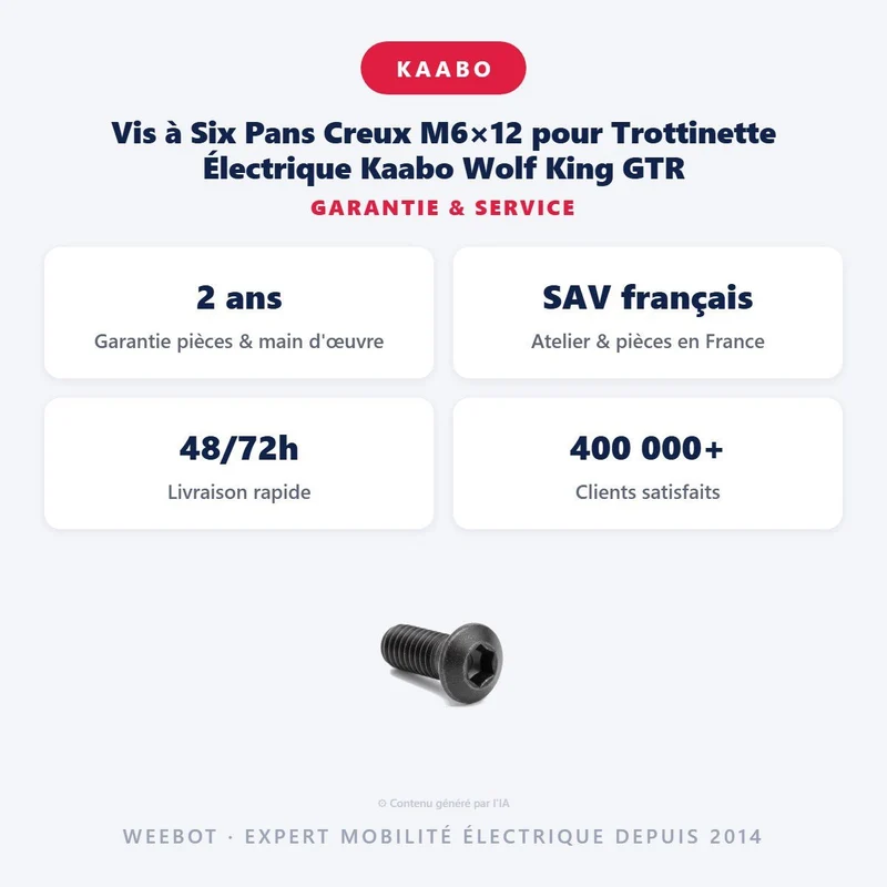 Vis à Six Pans Creux M6×12 pour Trottinette Électrique Kaabo Wolf King GTR