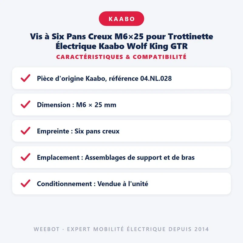 Vis à Six Pans Creux M6×25 pour Trottinette Électrique Kaabo Wolf King GTR
