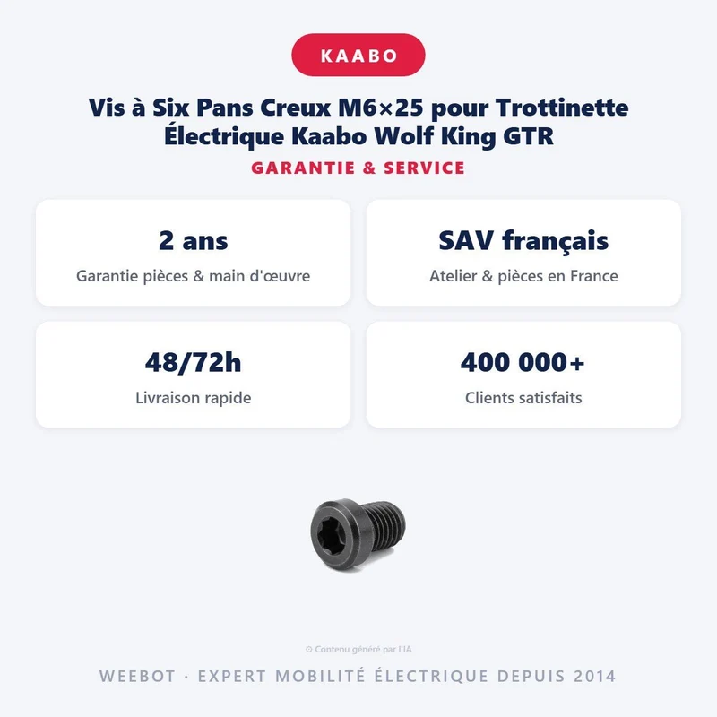 Vis à Six Pans Creux M6×25 pour Trottinette Électrique Kaabo Wolf King GTR