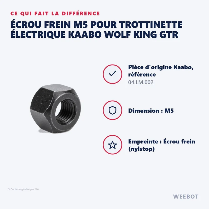 Écrou Frein M5 pour Trottinette Électrique Kaabo Wolf King GTR