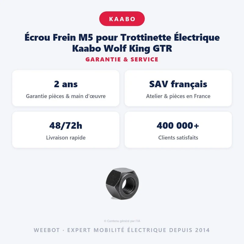 Écrou Frein M5 pour Trottinette Électrique Kaabo Wolf King GTR