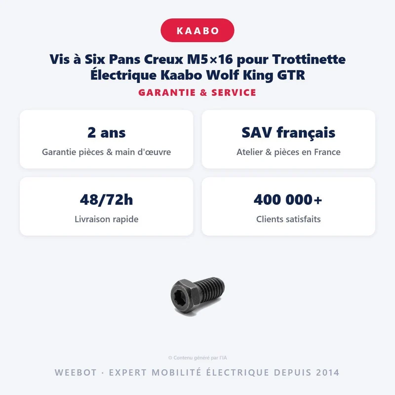 Vis à Six Pans Creux M5×16 pour Trottinette Électrique Kaabo Wolf King GTR
