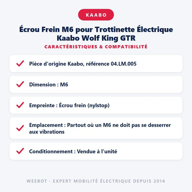 Écrou Frein M6 pour Trottinette Électrique Kaabo Wolf King GTR