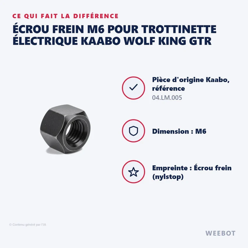 Écrou Frein M6 pour Trottinette Électrique Kaabo Wolf King GTR