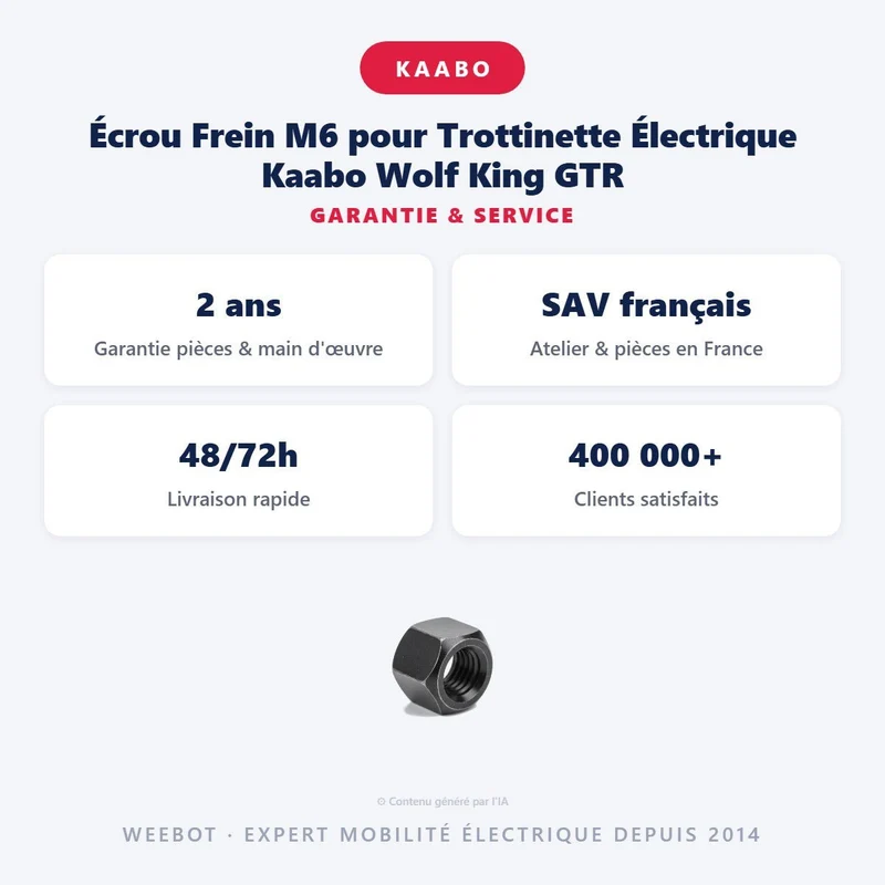 Écrou Frein M6 pour Trottinette Électrique Kaabo Wolf King GTR