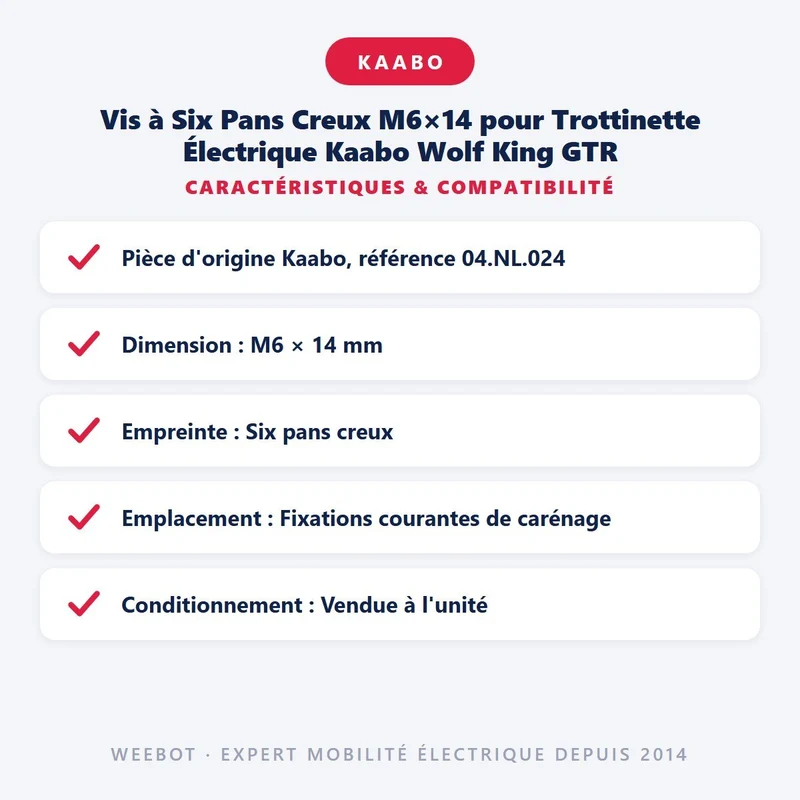 Vis à Six Pans Creux M6×14 pour Trottinette Électrique Kaabo Wolf King GTR