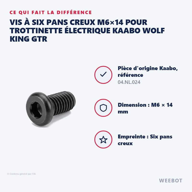 Vis à Six Pans Creux M6×14 pour Trottinette Électrique Kaabo Wolf King GTR