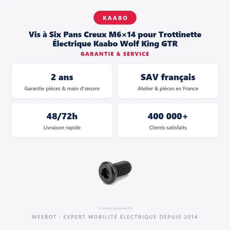 Vis à Six Pans Creux M6×14 pour Trottinette Électrique Kaabo Wolf King GTR