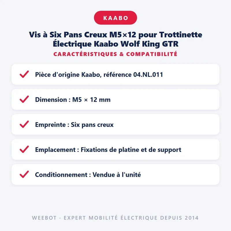 Vis à Six Pans Creux M5×12 pour Trottinette Électrique Kaabo Wolf King GTR