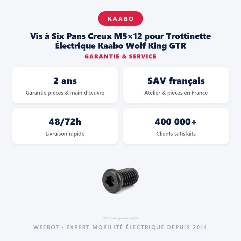 Vis à Six Pans Creux M5×12 pour Trottinette Électrique Kaabo Wolf King GTR