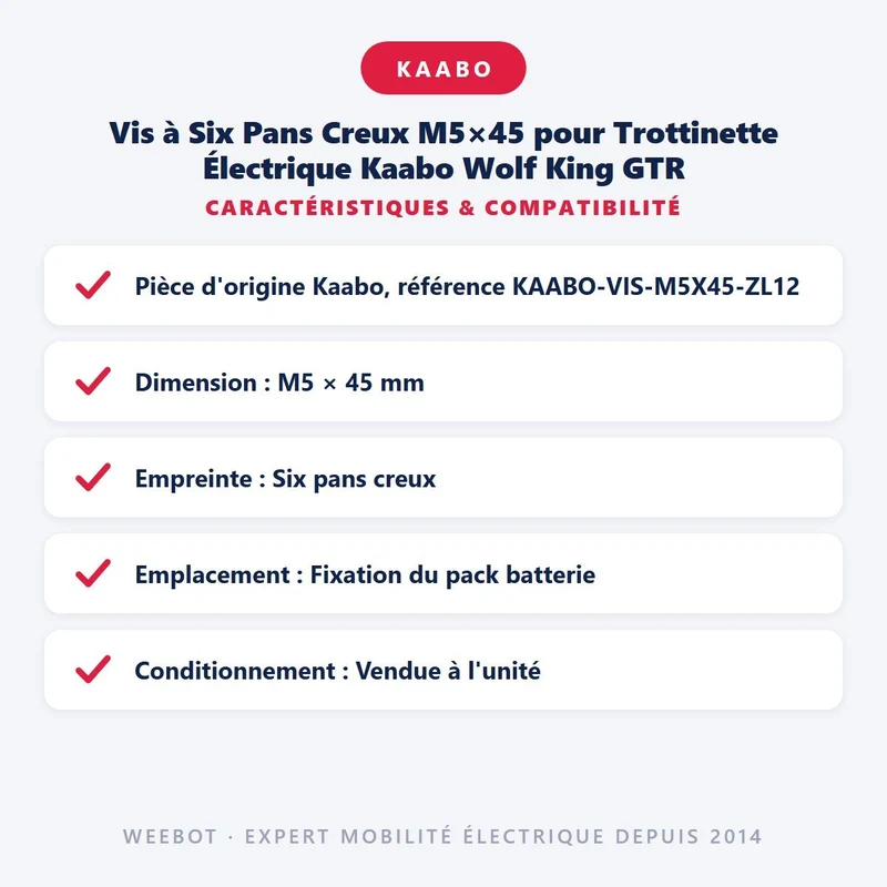Vis à Six Pans Creux M5×45 pour Trottinette Électrique Kaabo Wolf King GTR