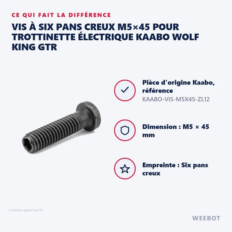 Vis à Six Pans Creux M5×45 pour Trottinette Électrique Kaabo Wolf King GTR