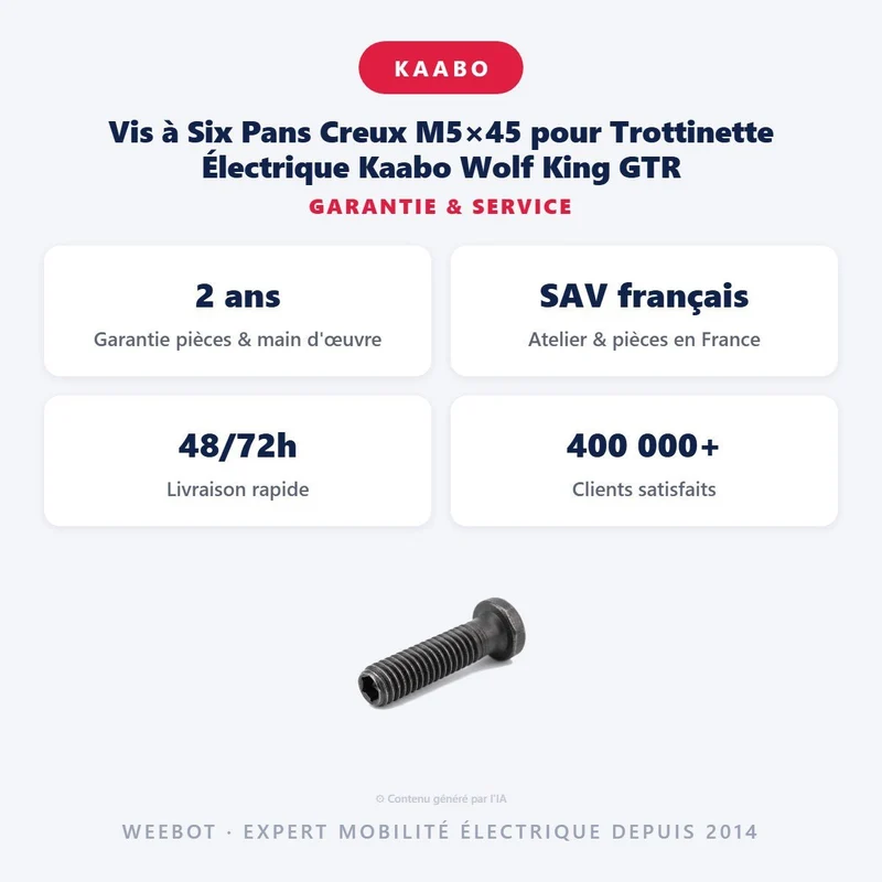 Vis à Six Pans Creux M5×45 pour Trottinette Électrique Kaabo Wolf King GTR