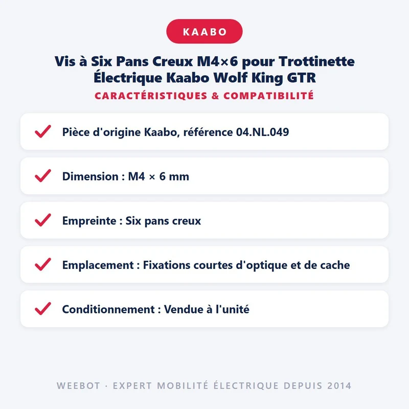 Vis à Six Pans Creux M4×6 pour Trottinette Électrique Kaabo Wolf King GTR