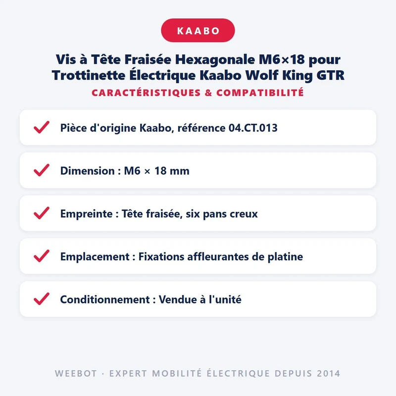 Vis à Tête Fraisée Hexagonale M6×18 pour Trottinette Électrique Kaabo Wolf King GTR