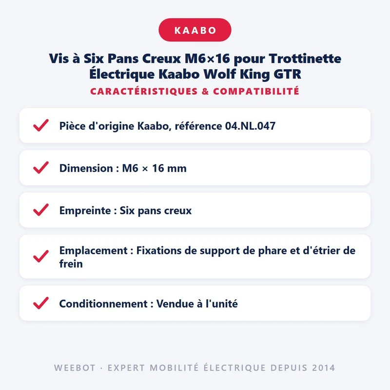 Vis à Six Pans Creux M6×16 pour Trottinette Électrique Kaabo Wolf King GTR