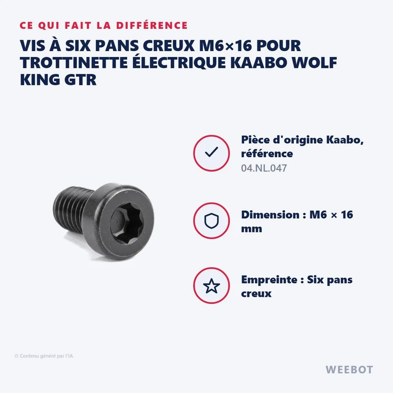 Vis à Six Pans Creux M6×16 pour Trottinette Électrique Kaabo Wolf King GTR