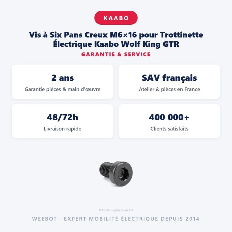 Vis à Six Pans Creux M6×16 pour Trottinette Électrique Kaabo Wolf King GTR