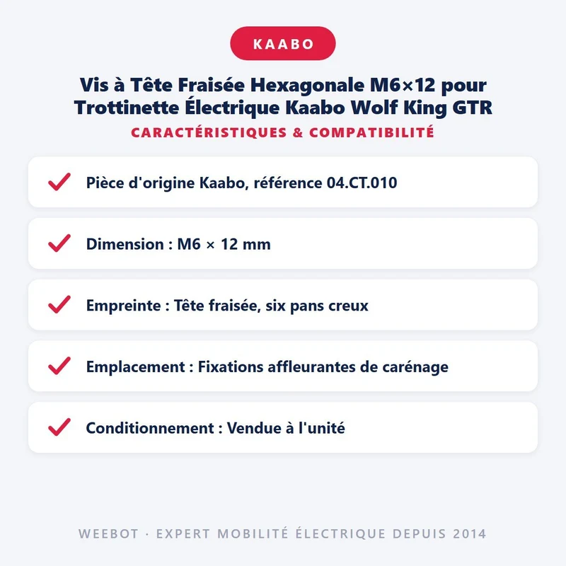 Vis à Tête Fraisée Hexagonale M6×12 pour Trottinette Électrique Kaabo Wolf King GTR