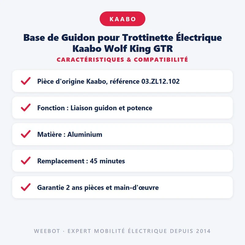 Base de Guidon pour Trottinette Électrique Kaabo Wolf King GTR