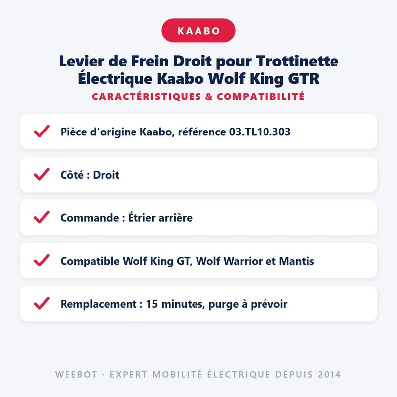 Levier de Frein Droit pour Trottinette Électrique Kaabo Wolf King GTR